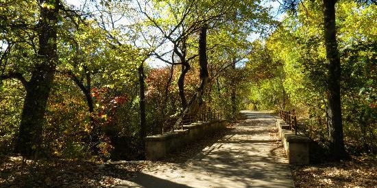 Walking trail at Arbor Hills Nature Preserve